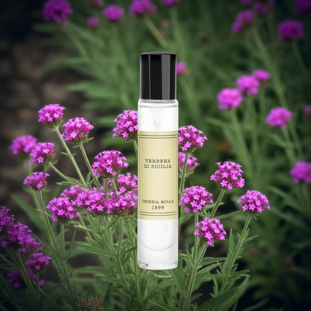 Cereria Molla - Room & Body Travel Spray 0.5 fl oz / 15 ml -   Coastous