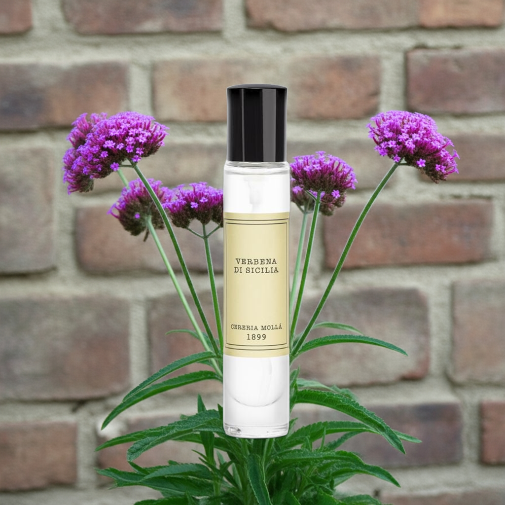 Cereria Molla - Room & Body Travel Spray 0.5 fl oz / 15 ml -   Coastous