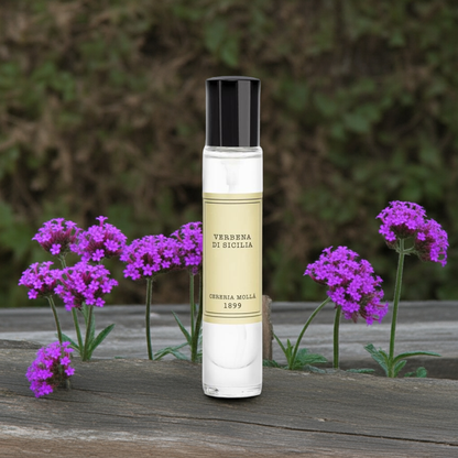 Cereria Molla - Room & Body Travel Spray 0.5 fl oz / 15 ml -   Coastous