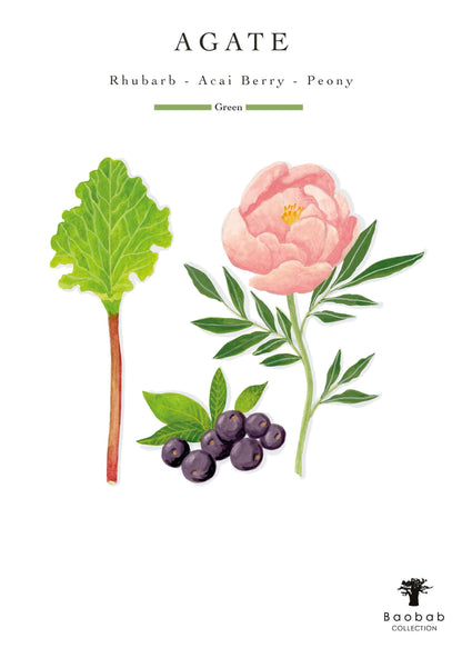 Baobab Collection - Candle Stones Agate - Bergamot-Açai berry-Amber - MAX16 - Coastous