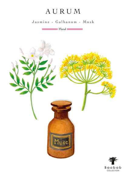 Baobab Collection - Candle Les Exclusives Aurum - Precious Jasmine-Divine Musk - MAX10 - Coastous