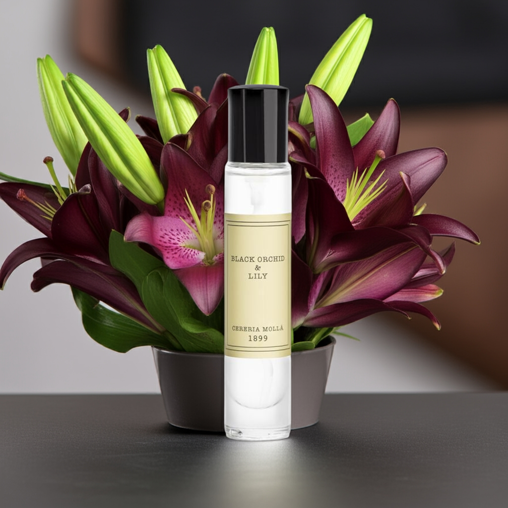 Cereria Molla - Room & Body Travel Spray 0.5 fl oz / 15 ml -   Coastous