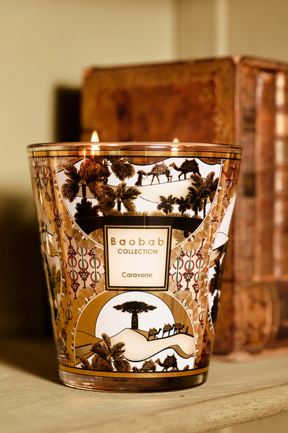 Baobab Collection - SCENTED LIMITED EDITION CANDLE CARAVANE - Fir - Wood Fire - Vetiver - Coastous