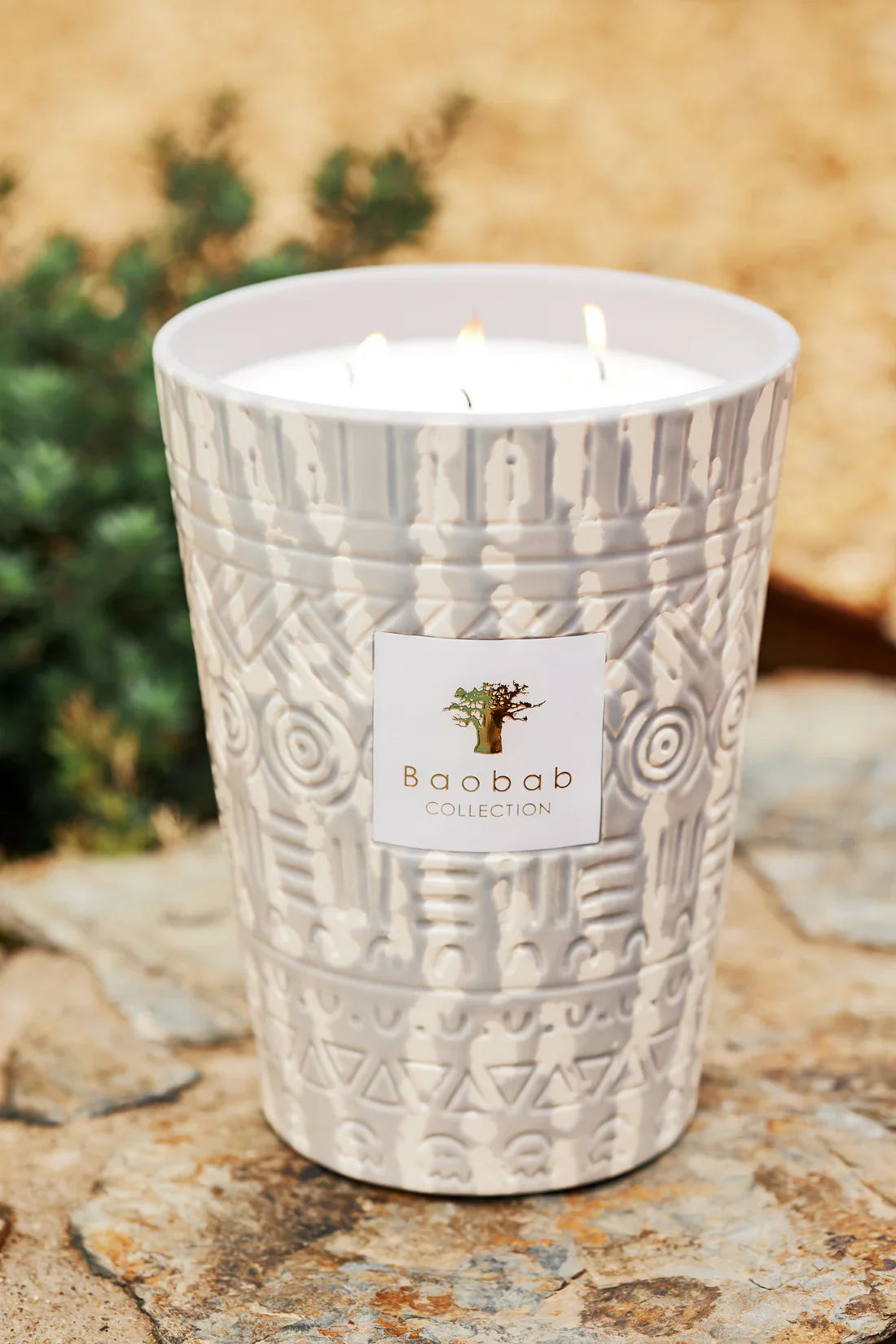 Baobab Collection - Candle Ancient Mark Apylan - Peppermint - Geranium - Driftwood - Coastous