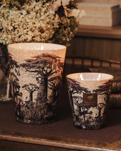 Baobab Collection - Scented Candle Sacred Trees Mankono