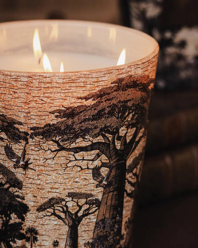 Baobab Collection - Scented Candle Sacred Trees Mankono