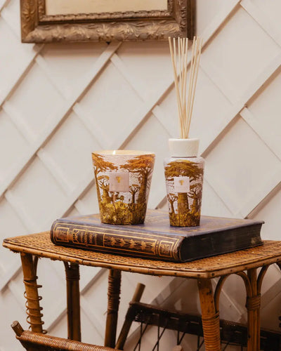 Baobab Collection - Diffuser Sacred Trees Bounkani