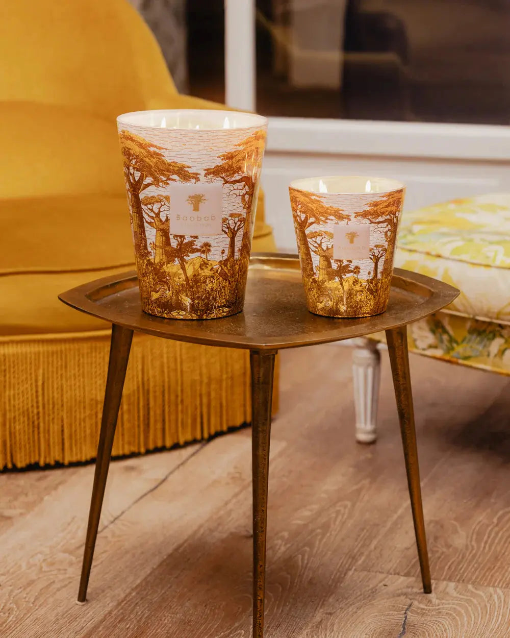 Baobab Collection - Scented Candle Sacred Trees Bounkani