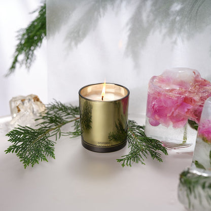 Black Cypress Classic Candle APOTHEKE