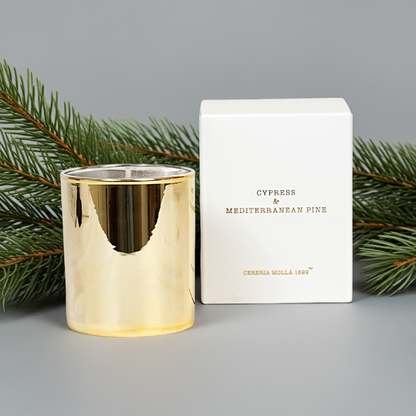 Cereria Molla - Cypress & Mediterranean Pine Holiday Candle - Coastous