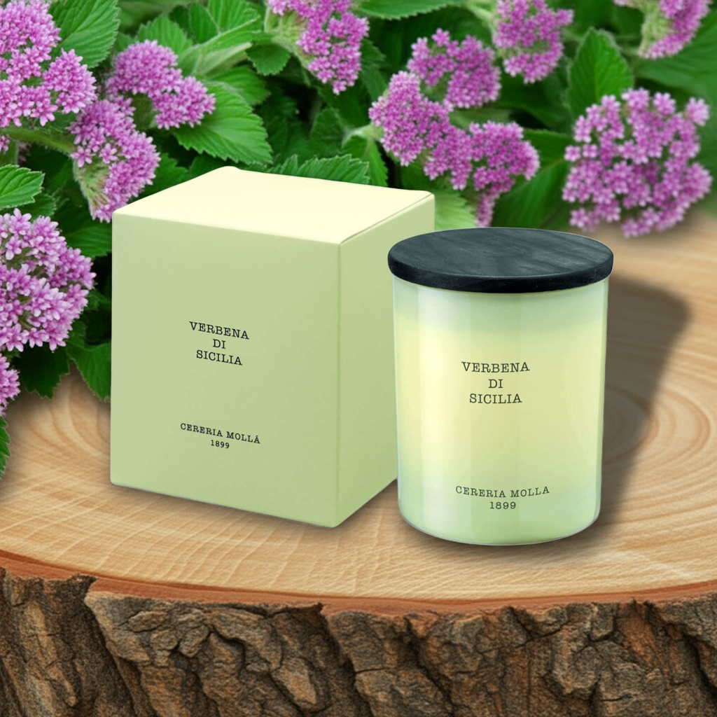 Cereria Molla - Verbena di Sicilia Ivory Premium Candle - 8 oz / 230 g - Coastous