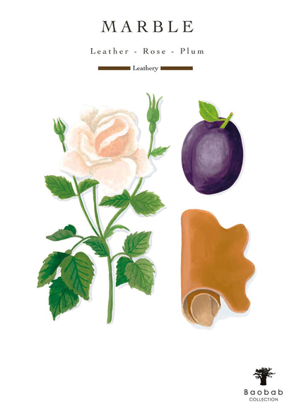Baobab Collection - Candle Stones Marble - Leather - Tuberose - Berries - MAX16 - Coastous