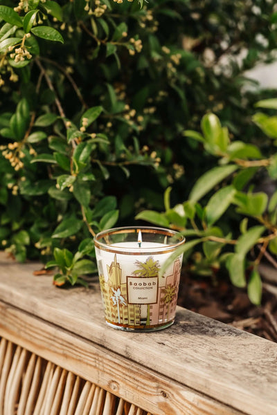 Baobab Collection - Candle My First Baobab Miami   