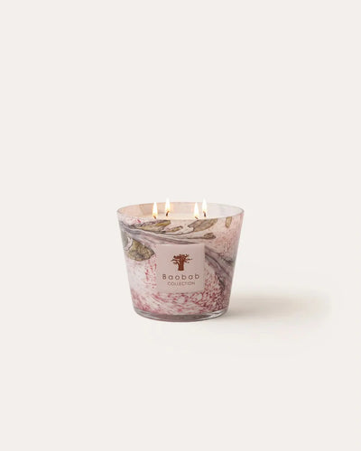 Baobab Collection - Scented Candle Leaves Manon   