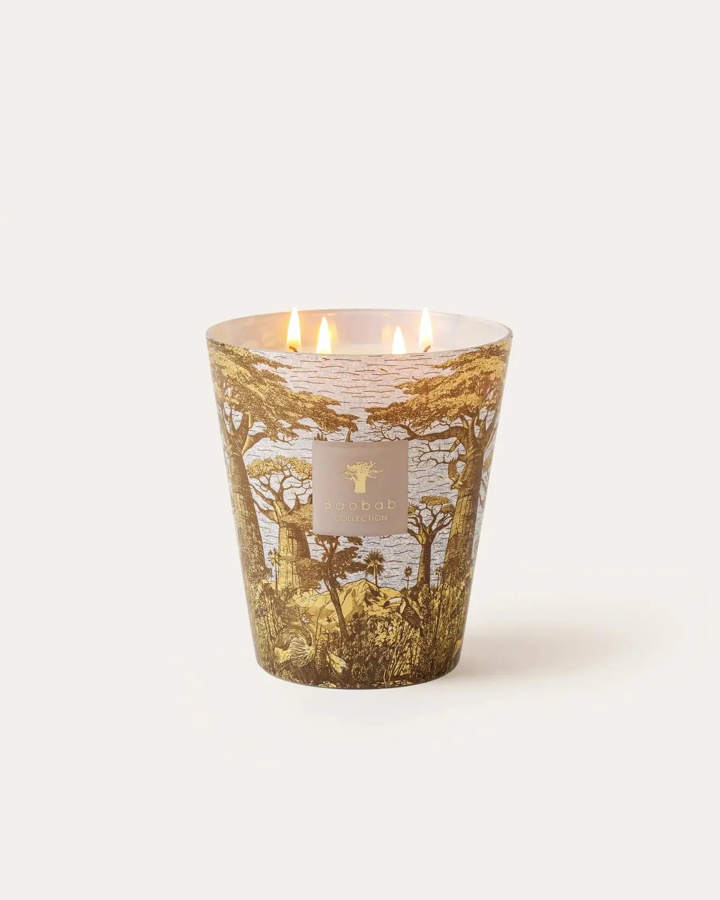 Baobab Collection - Scented Candle Sacred Trees Bounkani