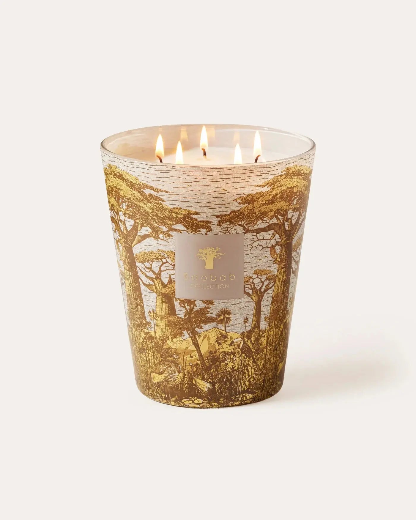 Baobab Collection - Scented Candle Sacred Trees Bounkani