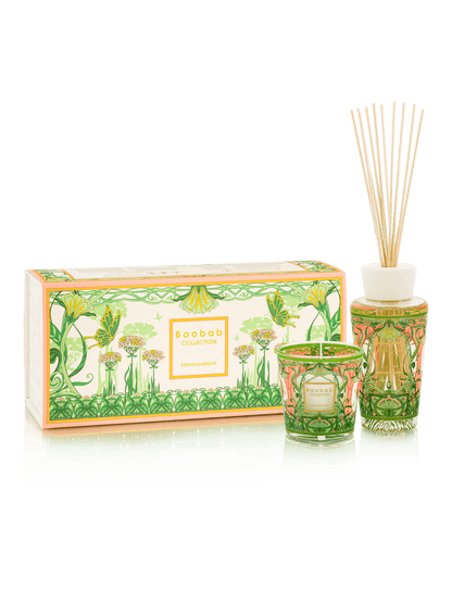 Baobab Collection - Gift Box My First Baobab Tomorrowland - Lily of the valley-Moss-Pear - Coastous