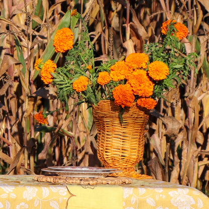 Natural Rattan Urn Vase Ro'Table