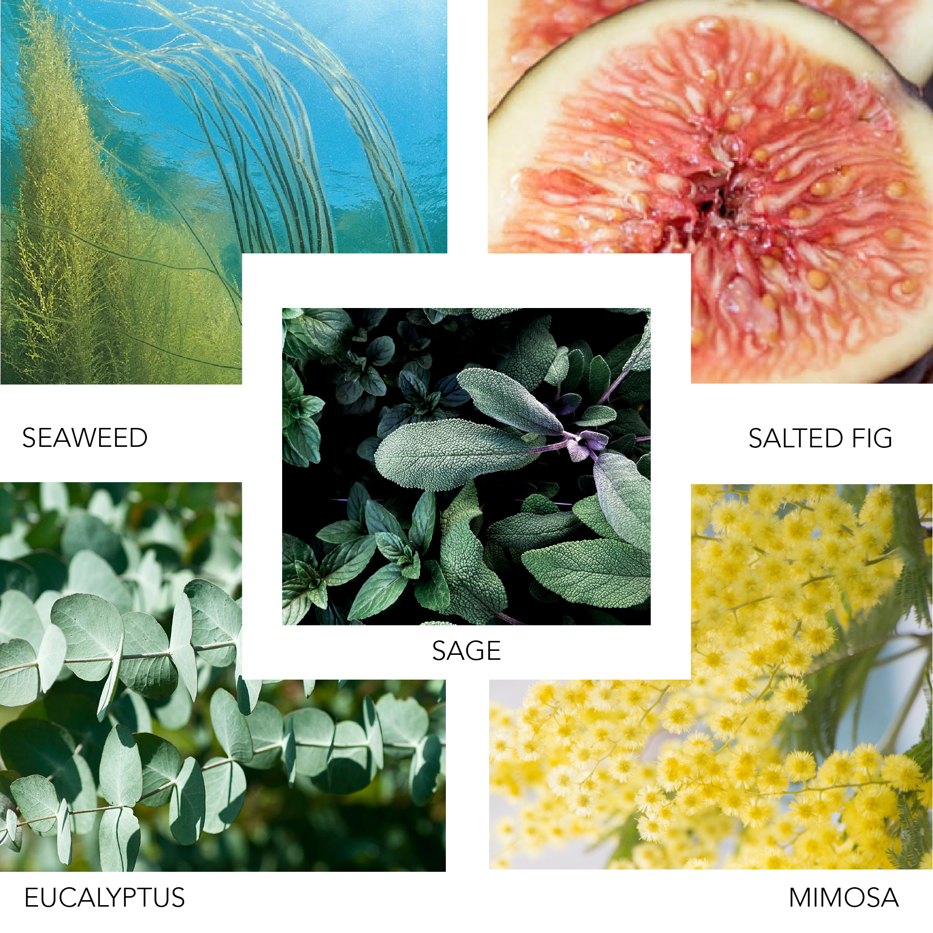 PIER NEW YORK 100 ML KIERIN