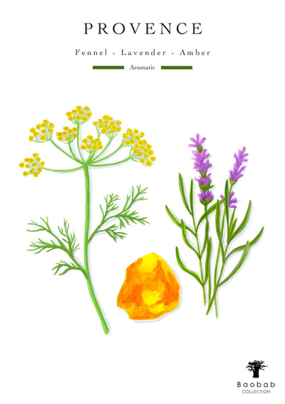 Baobab Collection - Provence Candle   