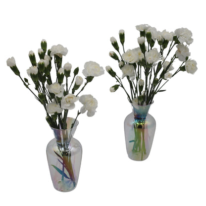 Rainbow Prism Vase - Pair Ro'Table