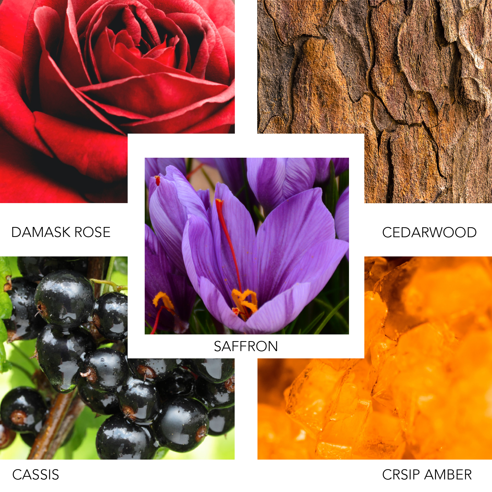 ROSE INK 100 ML KIERIN