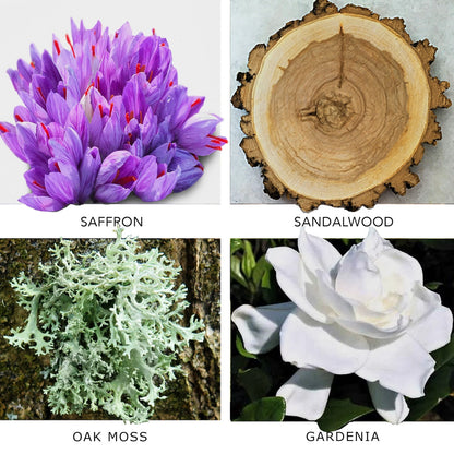 SANTAL PARK 100 ML KIERIN