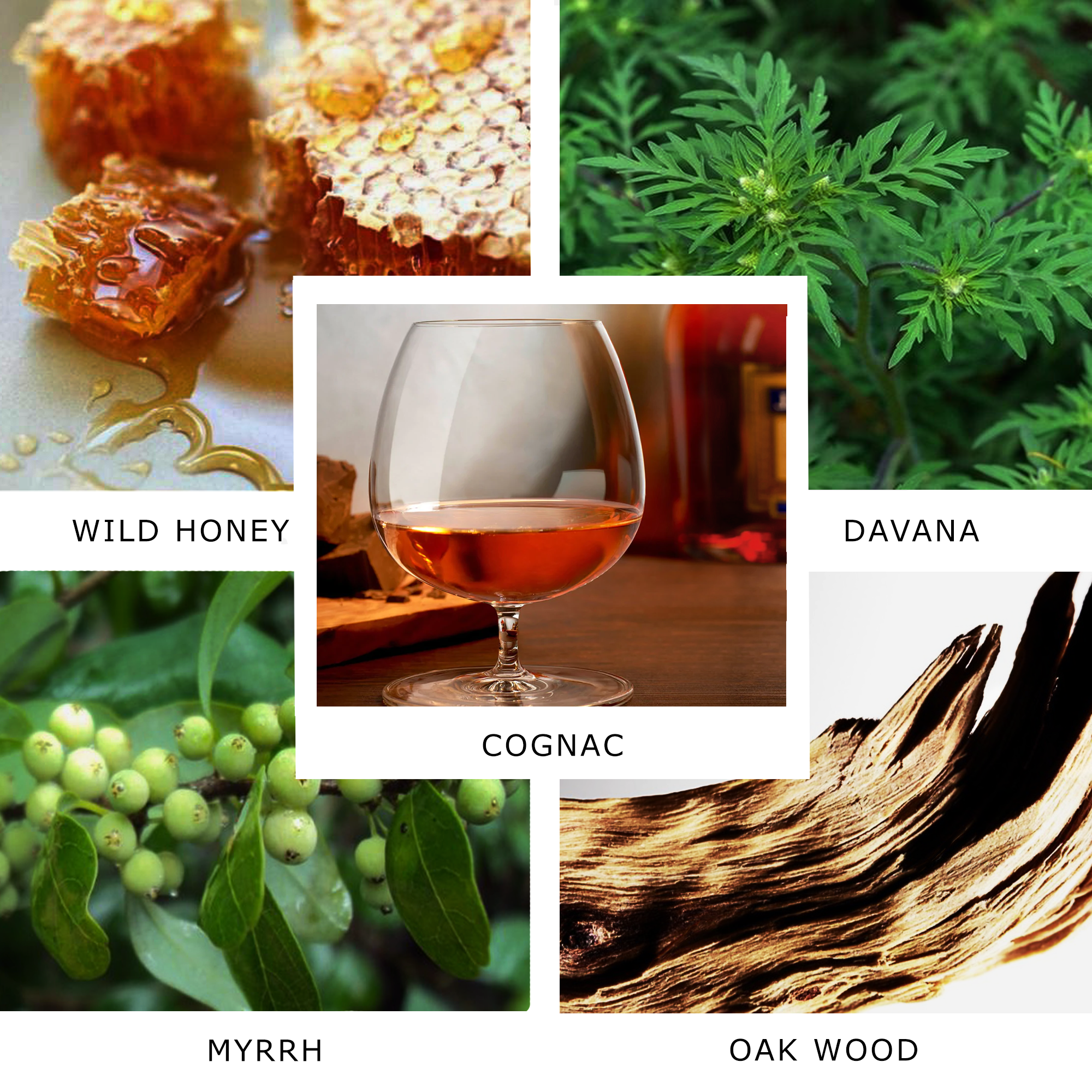 SCENTXONE 100 ML KIERIN