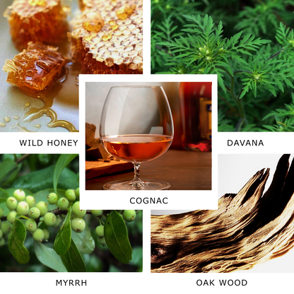 SCENTXONE 100 ML KIERIN