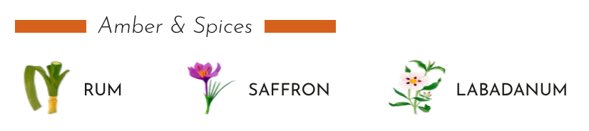 Illustration of rum, saffron, and labdanum representing the fragrance notes in a scented candle.