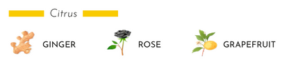 Citrus fragrance notes: ginger, rose, and grapefruit illustrated in a decorative style.