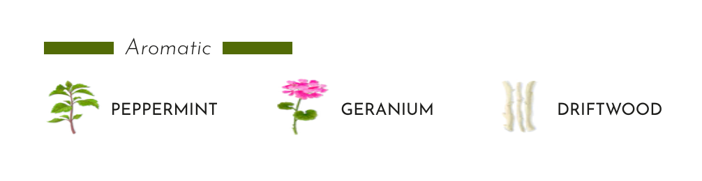 Baobab Collection - Candle Ancient Mark Utopia - Peppermint - Geranium- Driftwood - Coastous