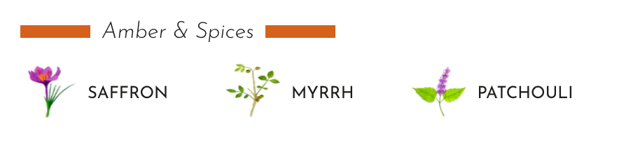 Baobab Collection - Candle Sand Sonora - Saffron - Myrrh - Patchouli - Coastous