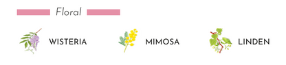 Floral illustrations of Wisteria, Mimosa, and Linden representing scents in Baobab Collection diffuser.