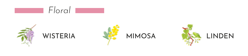 Floral illustrations of Wisteria, Mimosa, and Linden representing scents in Baobab Collection diffuser.