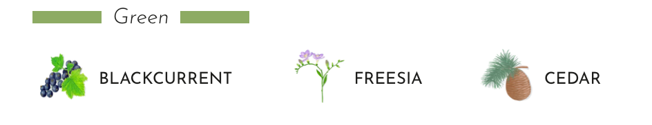 Illustration of green-scented ingredients: blackcurrant, freesia, and cedar for product fragrance.