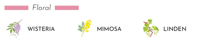 Floral elements: Wisteria, Mimosa, and Linden illustrations for Baobab Collection scent.