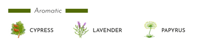 Aromatic elements: cypress, lavender, and papyrus illustrated with text labels.