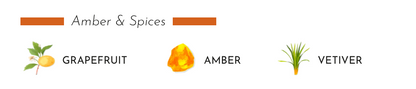 Illustration of grapefruit, amber, and vetiver representing the fragrance notes of the Baobab diffuser.