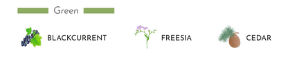 Illustration of scents: Blackcurrant leaf, Freesia flower, and Cedar wood in a green theme.
