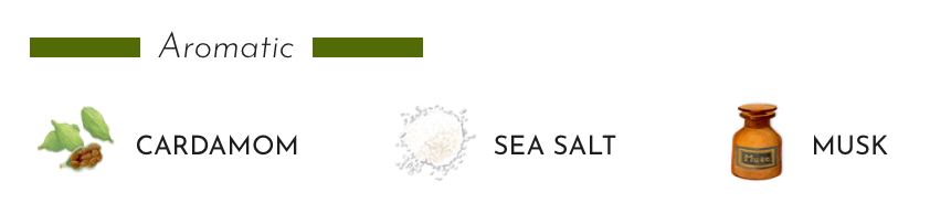 Aromatic ingredients: cardamom, sea salt, and musk for Baobab Collection candles.