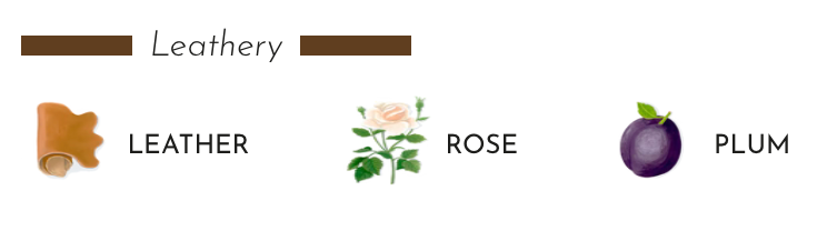 Illustration of scents: leather, rose, and plum in a leathery theme.
