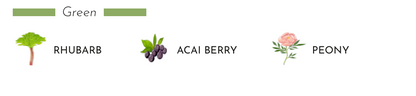 Illustration of rhubarb, acai berry, and peony with label 'Green' highlighting floral elements.