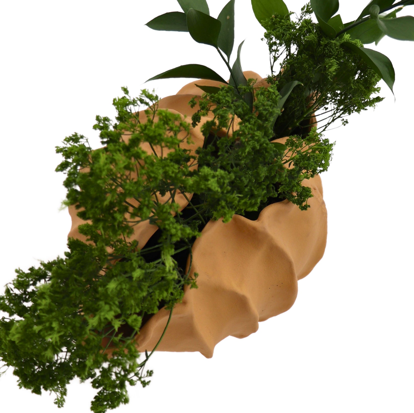 Sirene Shell Vase Ro'Table