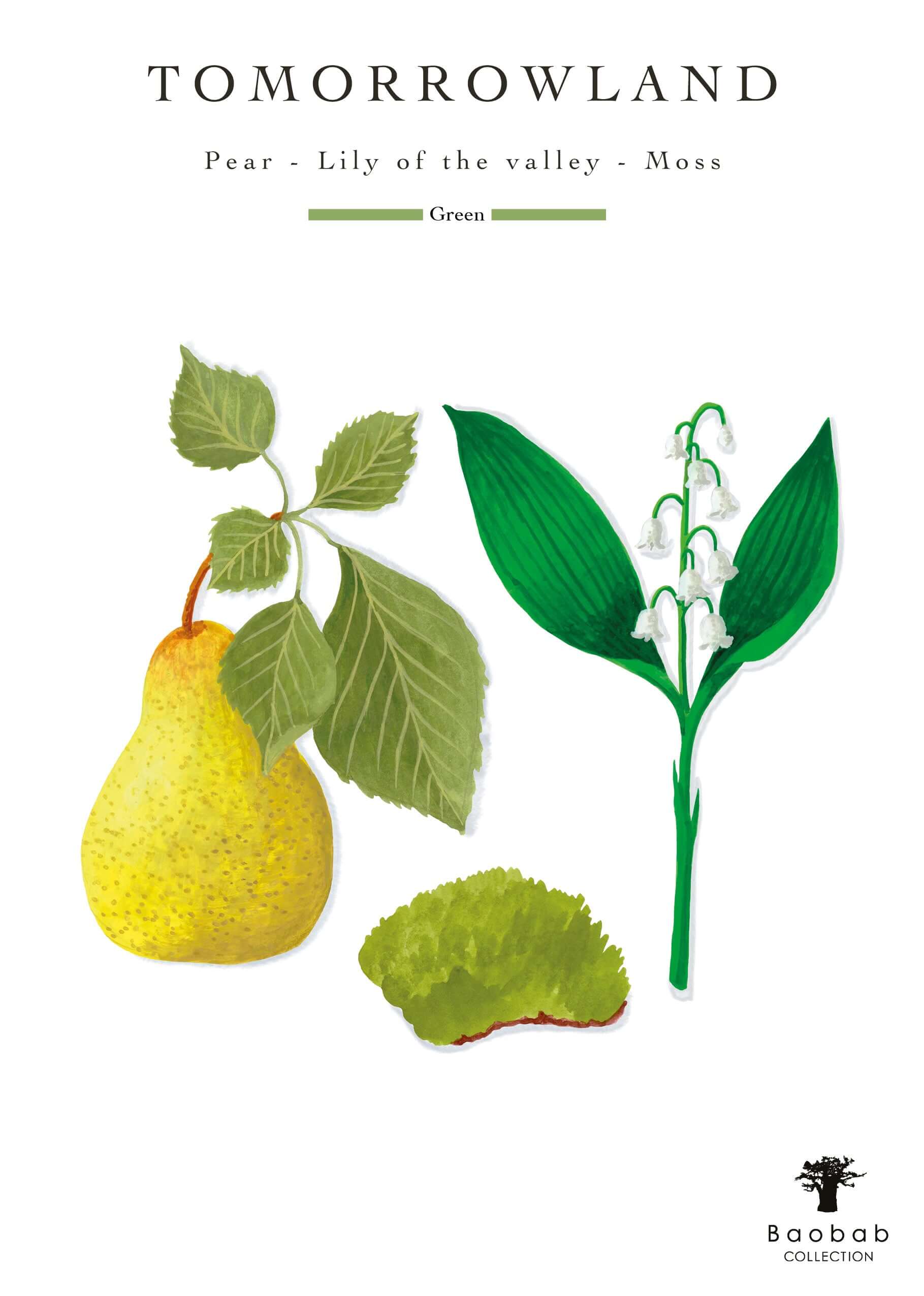 Baobab Collection - Gift Box My First Baobab Tomorrowland - Lily of the valley-Moss-Pear - Coastous