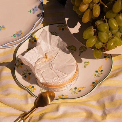 Valensole Lavender Scalloped Dinner Plate - Case of 12 Plates (+3 Bonus Plates) Ro'Table