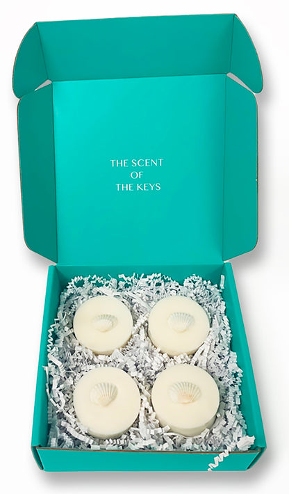 Island Escape Wax Melts AQUA D' KEYS
