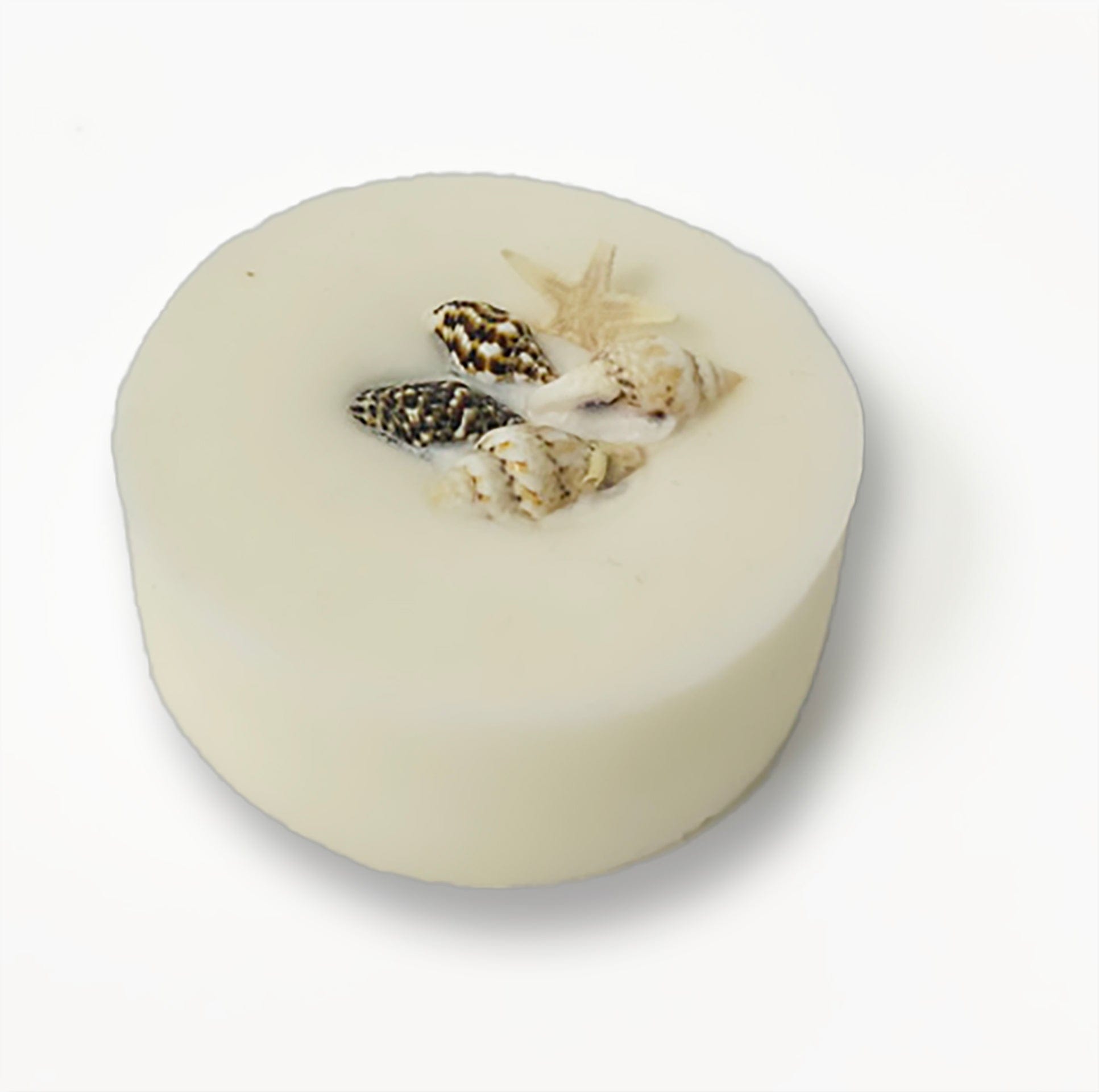 Ocean Surf Wax Melts AQUA D' KEYS