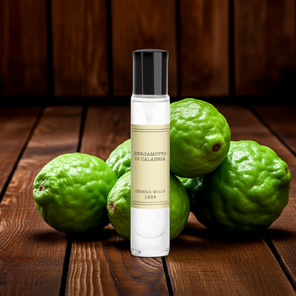 Cereria Molla - Room & Body Travel Spray 0.5 fl oz / 15 ml -   Coastous