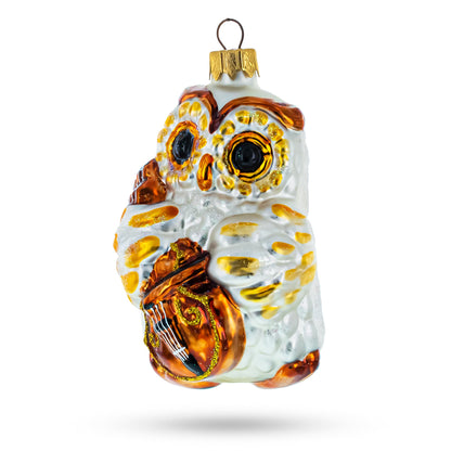 Wise Owl Playing Cello Glass Christmas Ornament